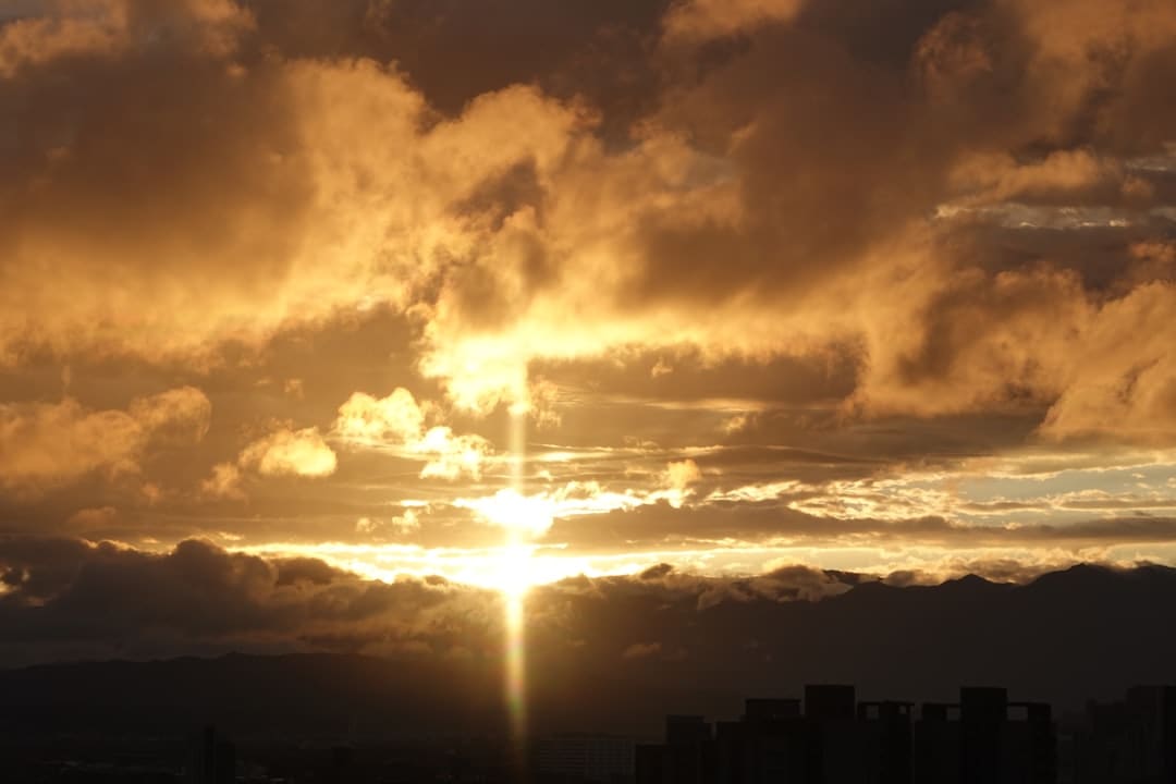 新春走底层|山东:土特产热销“黄河大集” 新年消费涌动新生机